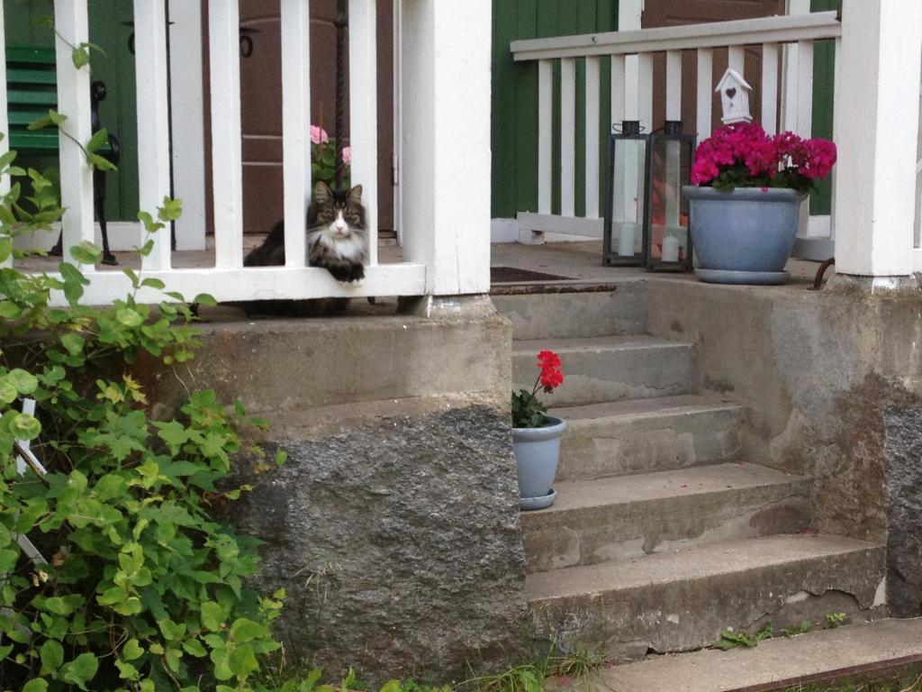 Rytterne Kyrkskola Bed & Breakfast Sorby  Exterior photo